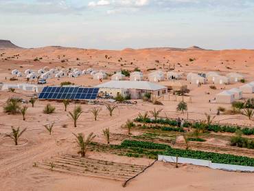 Abdelmoula Camp Tunesien |  Abdelmoula Camp  / Chamleon
