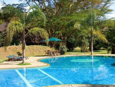 Lake Naivasha Simba Lodge |  Lake Naivasha Simba Lodge / Chamleon