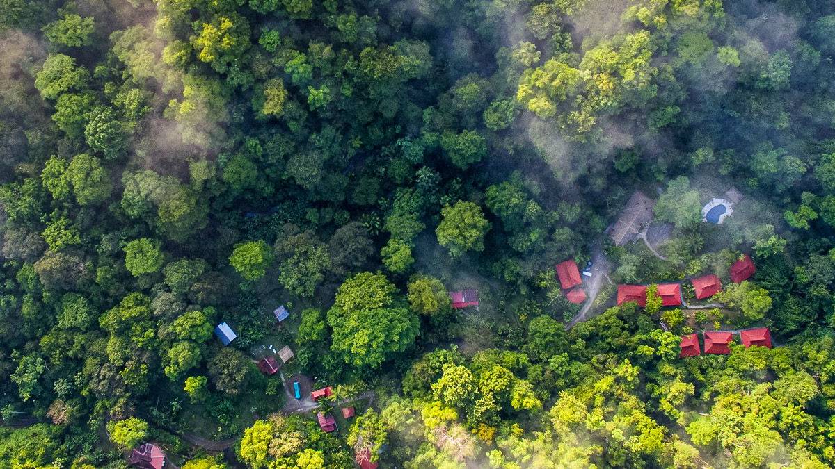 Esquinas Rainforest Lodge |  Fritz Fucik, Amadeus Travel Agency / Chamleon