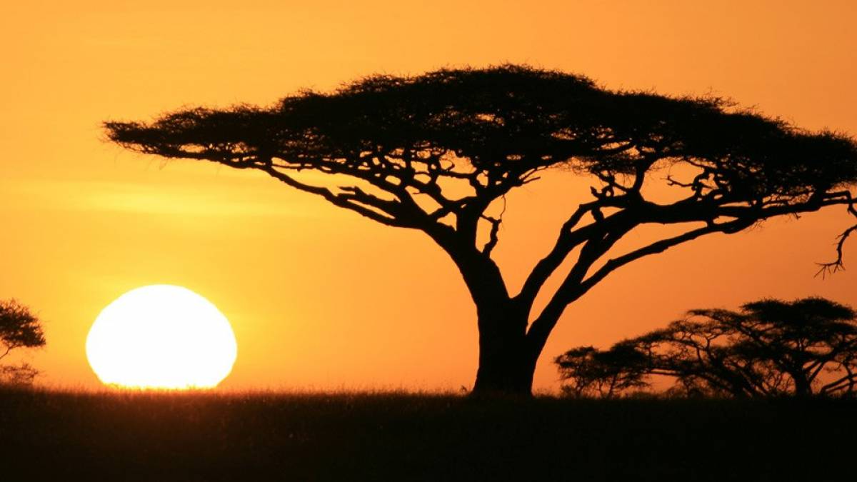Frühmorgens in der Serengeti | © Gertraud Reck / Chamäleon Frühmorgens in der Serengeti | © Gertraud Reck / Chamäleon