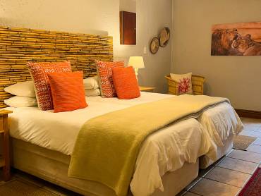 Safari Club |  Safari Club / Chamleon