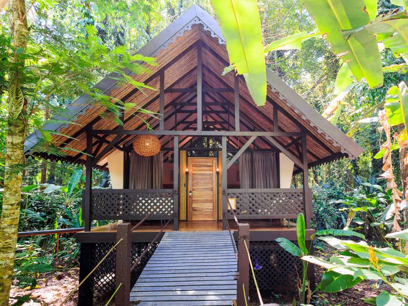 Cottage |  Gabriel Anta, Almonds and Corals / Chamleon