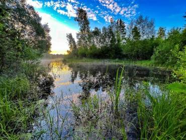 Moor in Litauen |  Paramelis / Chamleon