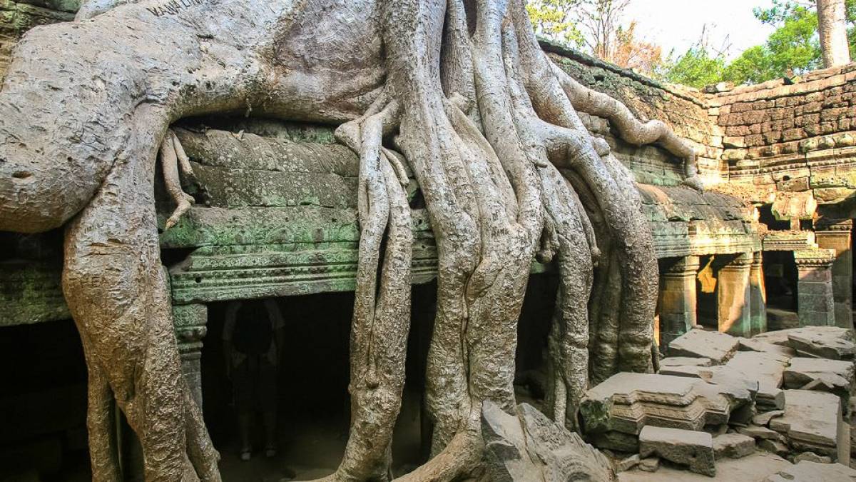 Ta Prohm in Angkor | © A. Schuhmacher-Plesse / Chamäleon Ta Prohm in Angkor | © A. Schuhmacher-Plesse / Chamäleon