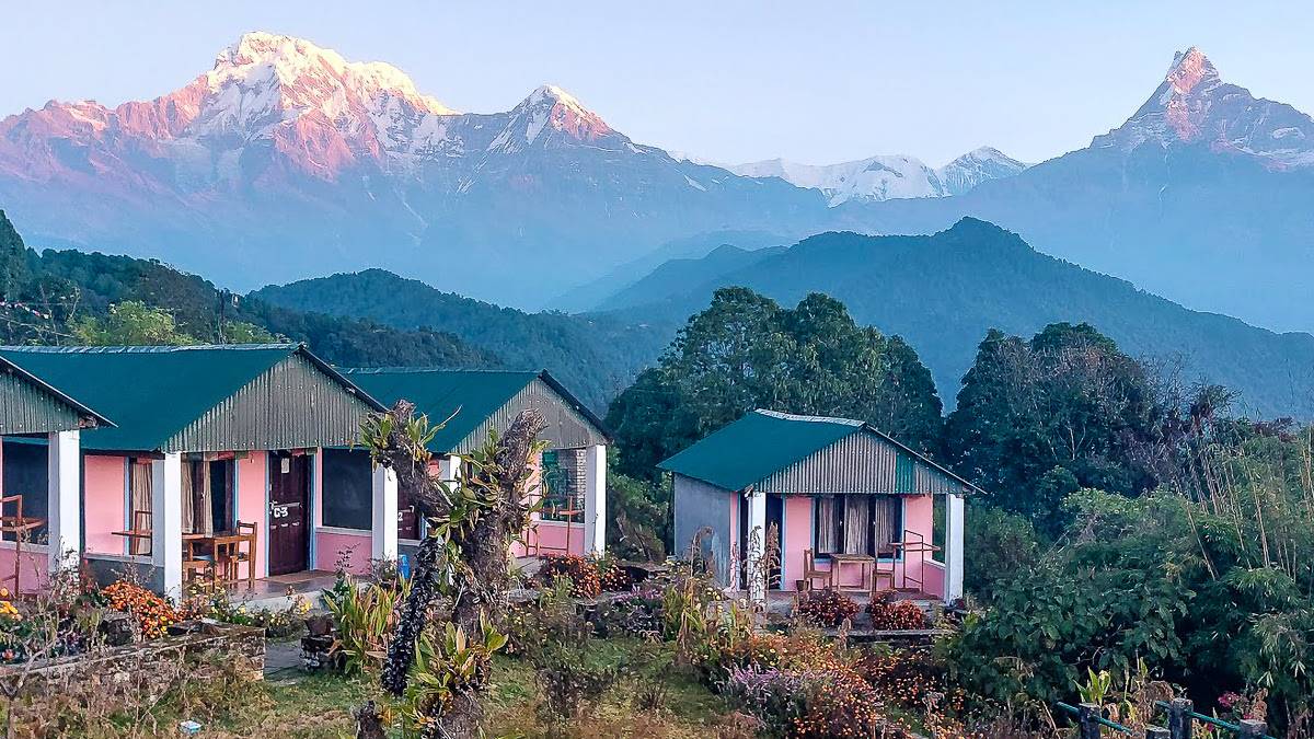 Teehaus Australian Camp | © Teehaus Australian Camp / Chamäleon Teehaus Australian Camp | © Teehaus Australian Camp / Chamäleon