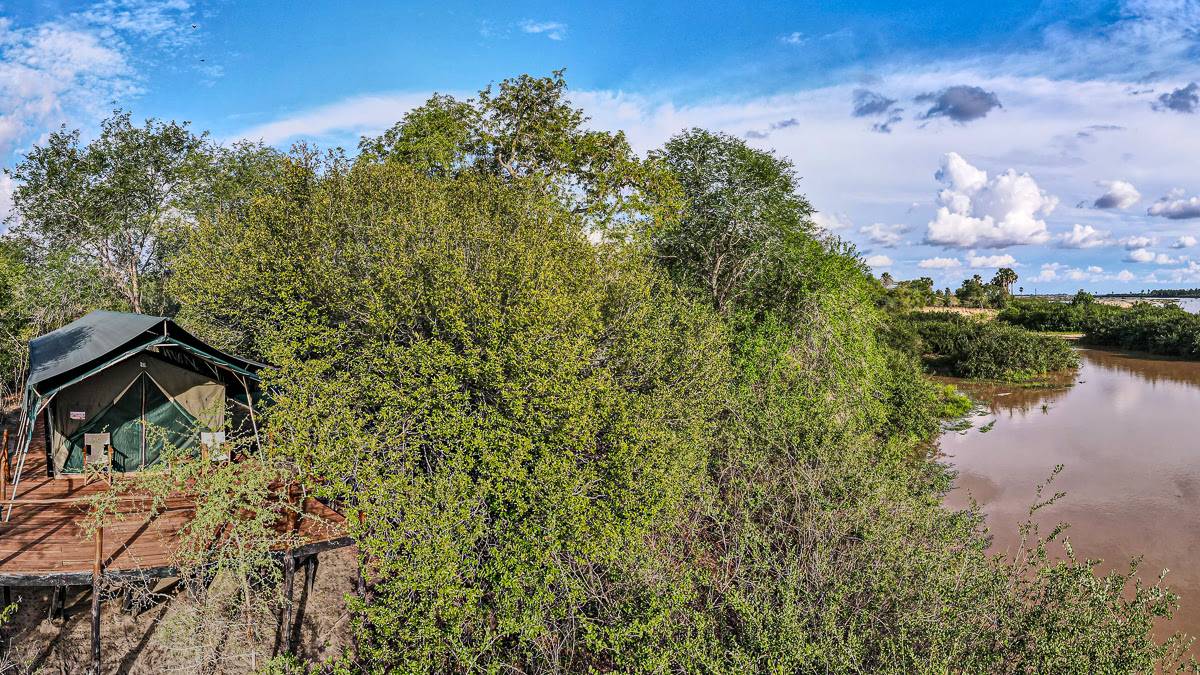 Selous Impala Camp |  Selous Impala Camp / Chamleon