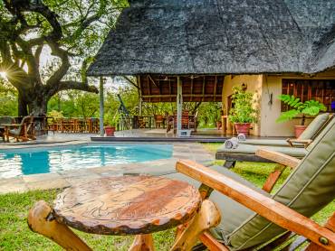 Needles Safari Lodge  |  Needles Safari Lodge / Chamleon