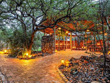 Etosha Village |  Etosha Village / Chamleon
