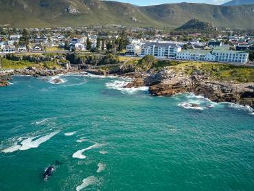 Hermanus Windsor Hotel  |  Hermanus Windsor Hotel / Chamleon