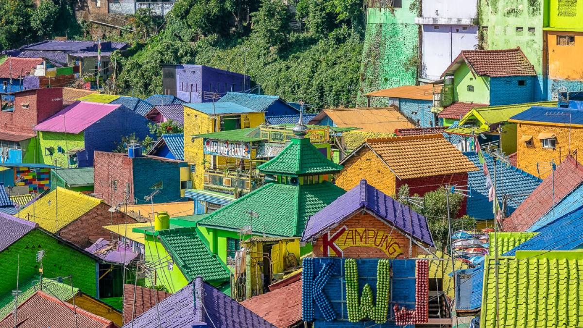 Bunten Haueser von Malany | © Mike van Schoonderwalt, Pexels / Chamäleon Bunten Haueser von Malany | © Mike van Schoonderwalt, Pexels / Chamäleon