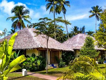 Bangsak Village |  Bangsak Village / Chamleon