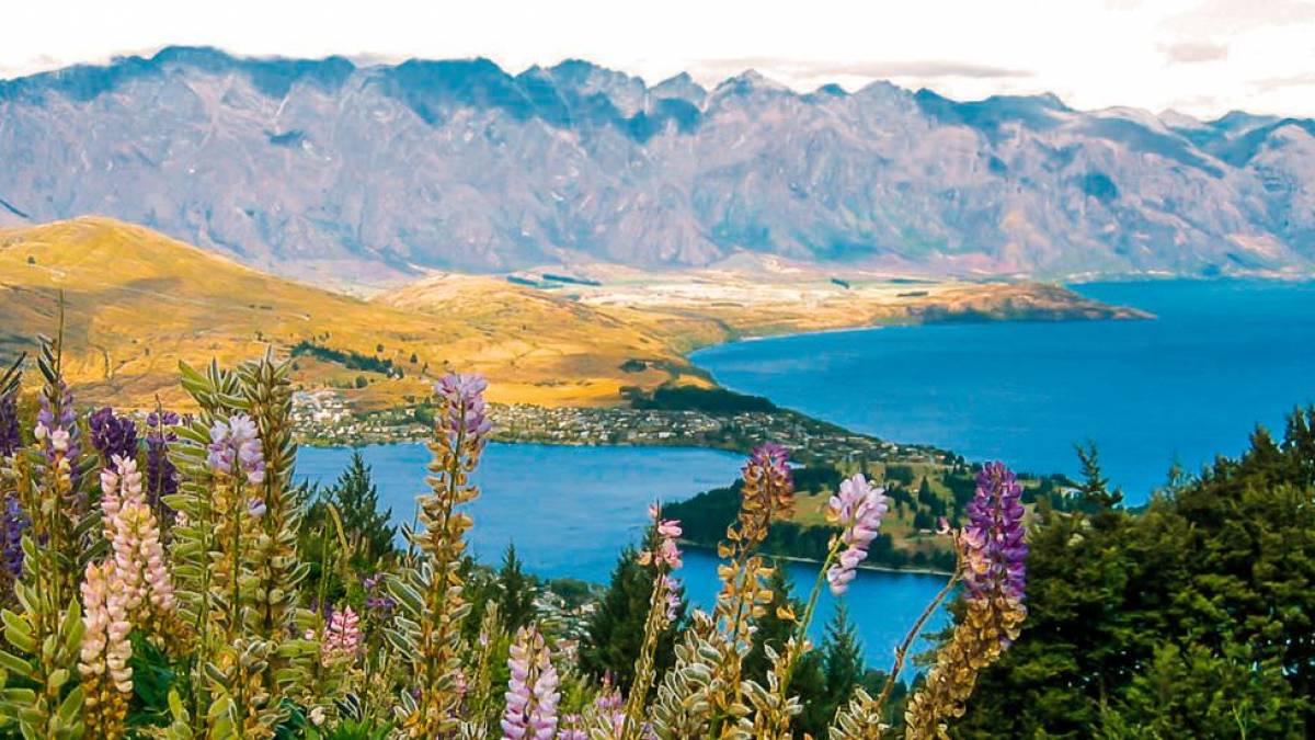 Blick über den Wakatipu-See und Queenstown | © Martina Schmitz / Chamäleon Blick über den Wakatipu-See und Queenstown | © Martina Schmitz / Chamäleon