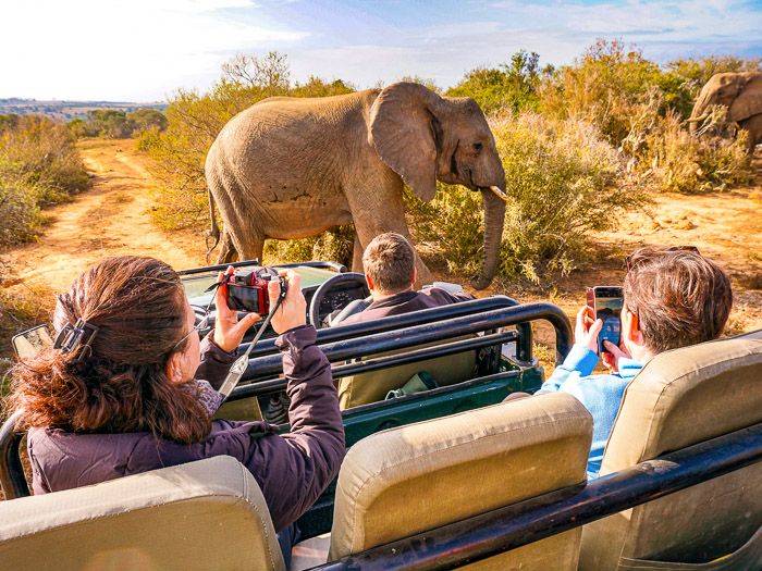 Safari im offenen Gelndewagen |  Claudia Exner / Chamleon