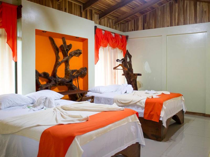 Catarata Rio Celeste Lodge |  Catarata Rio Celeste Lodge / Chamleon