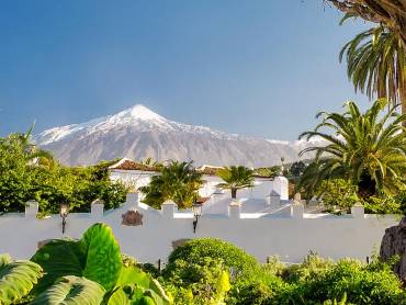 Drachenbaum und Teide |  Cameris, iStockphoto.com / Chamleon
