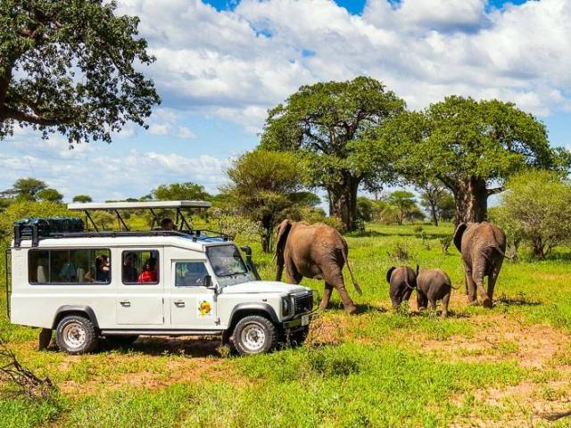 Hautnah Safari erleben im Tarangire Nationalpark |  Alexander Sass / Chamleon