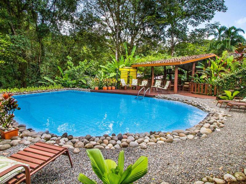 La Quinta de Sarapiqui |  Wayde Carroll, La Quinta de Sarapiqui / Chamleon