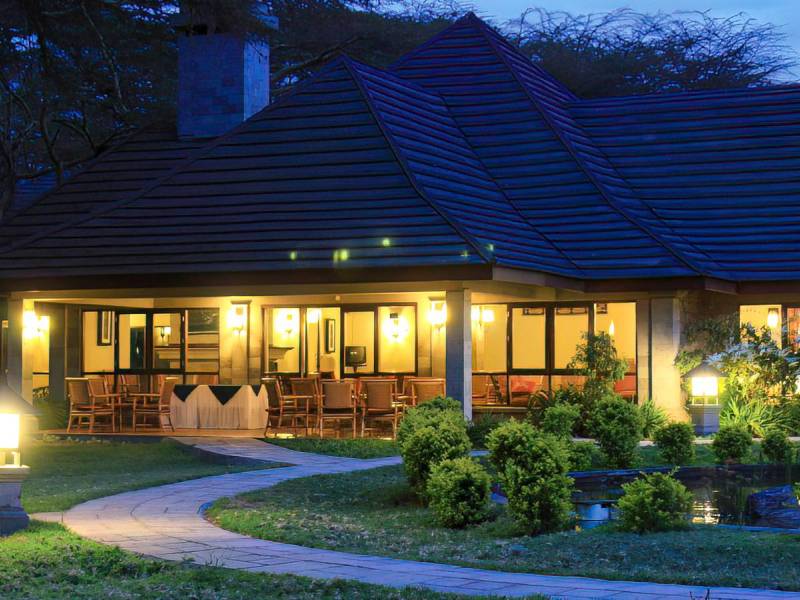 Lake Naivasha Simba Lodge |  Lake Naivasha Simba Lodge / Chamleon