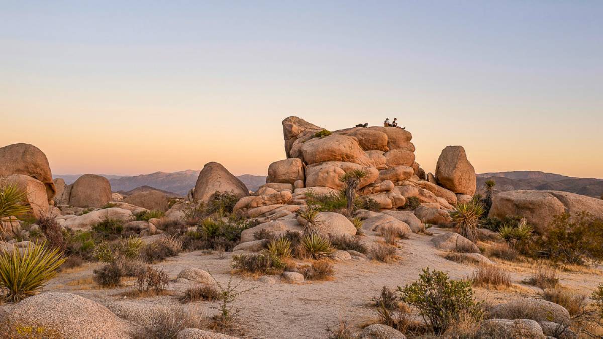 Joshua Tree Nationalpark | © Davey Heuser, Unsplash / Chamäleon Joshua Tree Nationalpark | © Davey Heuser, Unsplash / Chamäleon