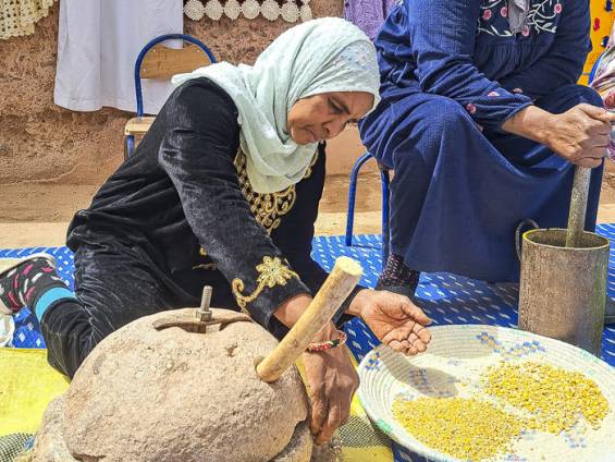 Taouabil Tifoultoute |  Sonja, Taouabil Tifoultoute / Chamleon