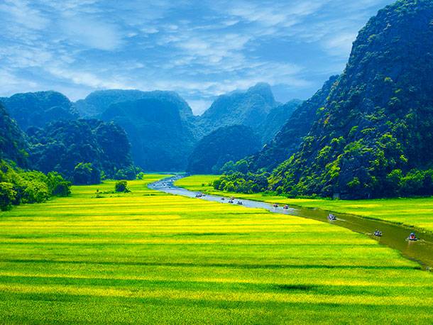 Reisfeld Vietnam |  iStockphoto / Son-Ha