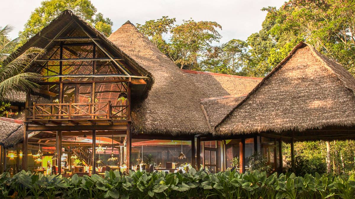 Inkaterra Reserva Amazonica Lodge  |  Inkaterra Reserva Amazonica Lodge / Chamleon