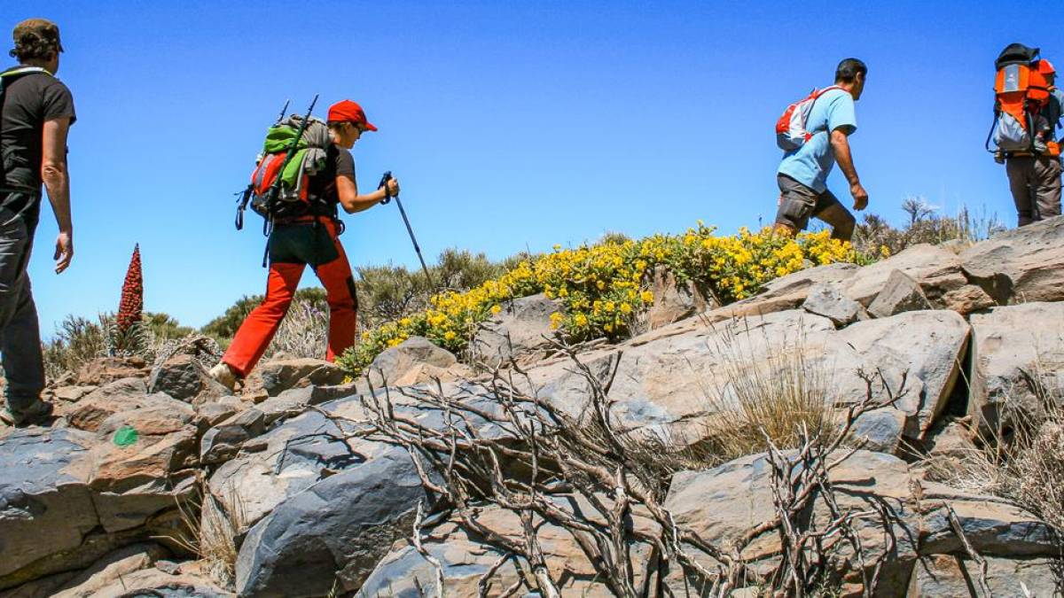 Wandern auf La Palma | © Erdmann-Crew, Pixabay / Chamäleon Wandern auf La Palma | © Erdmann-Crew, Pixabay / Chamäleon