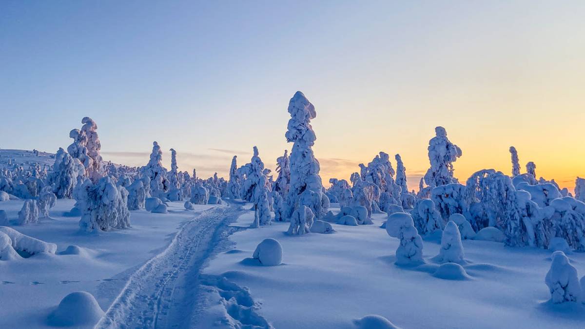 Saariselk |  Tankavaara Gold Village / Chamleon