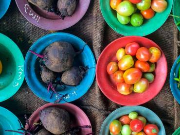 Farben des Marktes |  Gerrit Groenewold / Chamleon