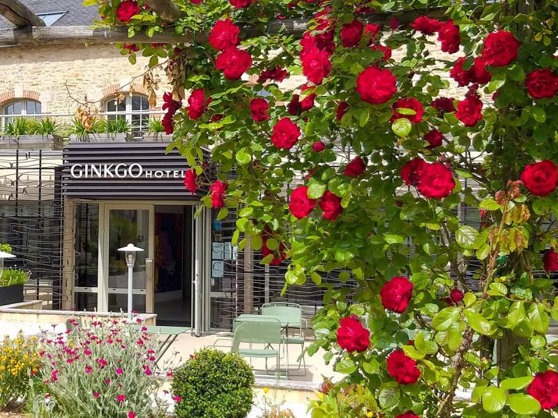 Ginko and Spa |  Ginko and Spa / Chamleon