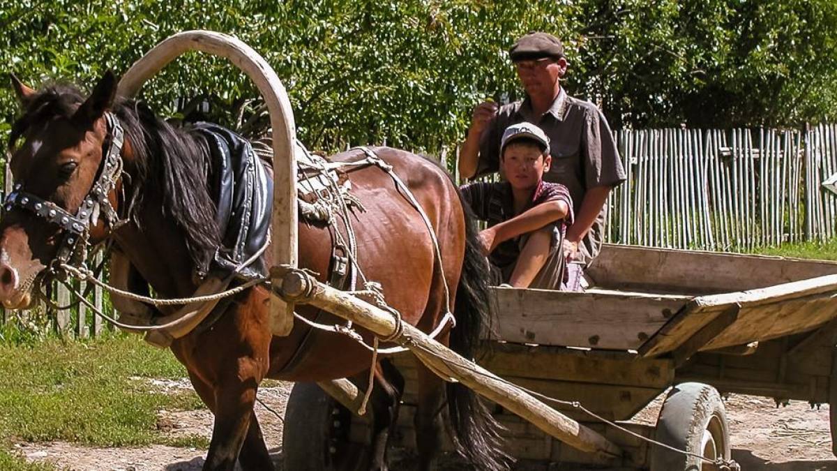 Bäuerlicher Pferdewagen | © Novi Nomad Tours / Chamäleon Bäuerlicher Pferdewagen | © Novi Nomad Tours / Chamäleon