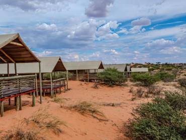 Suricate Kalahari Tended Lodge  |  Suricate Kalahari Tended Lodge / Chamleon