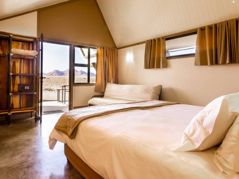 Desert Quiver Camp |  Desert Quiver Camp / Chamleon