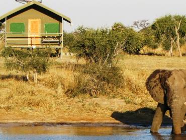 Elephant Sands Lodge  |  Elephant Sands Lodge / Chamleon