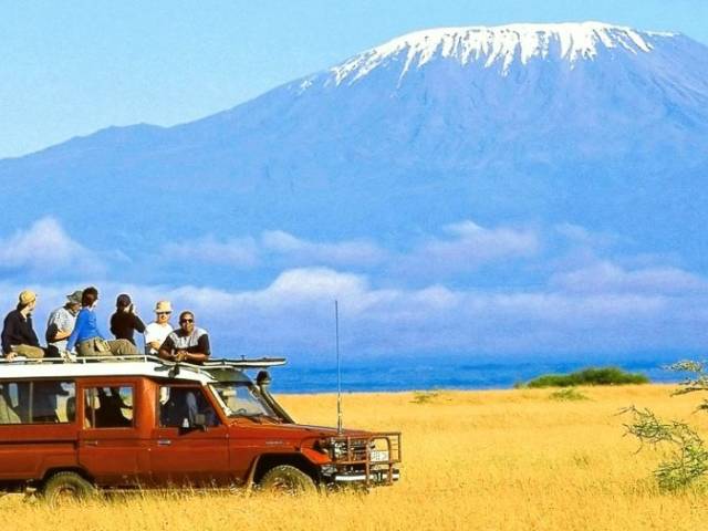 Safari im Jeep durch den Kilimandscharo Nationalpark |  Chamleon
