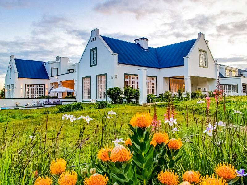 Fernhaven |  Buffelsdam Country House, Fairfield Tours / Chamleon