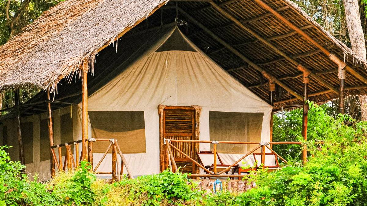 Selous Kulinda Camp |  Selous Kulinda Camp / Chamleon