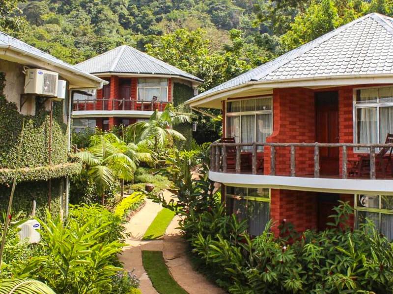 Udzungwa Falls Lodge |  Udzungwa Falls Lodge / Chamleon