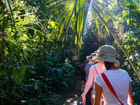 Wanderung durch den Regenwald |  Luisa Mentz / Chamleon