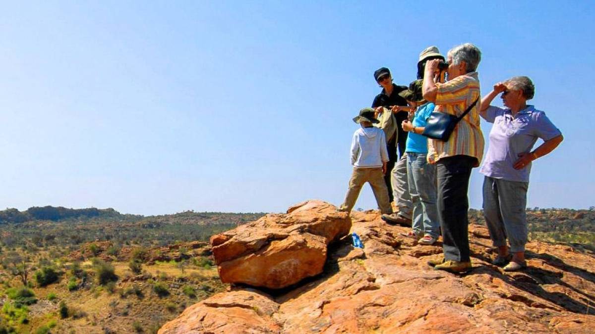 Auf dem Mapungubwe Hill | © Peter Pack, Pack Safari / Chamäleon Auf dem Mapungubwe Hill | © Peter Pack, Pack Safari / Chamäleon