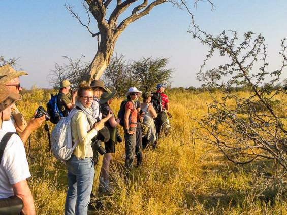 Bushwalk mit Tierbeobachtung |  Andrew Lindsay, Sunway Safaris / Chamleon