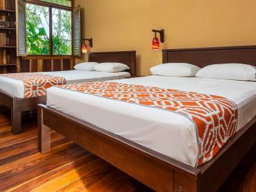 Laguna Lodge Tortuguero |  Laguna Lodge Tortuguero  / Chamleon