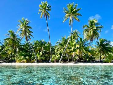 Traumstrand mit Palmen