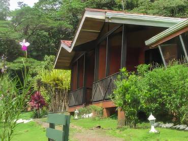 Heliconias Rainforest Lodge |  Heliconias Rainforest Lodge / Chamleon