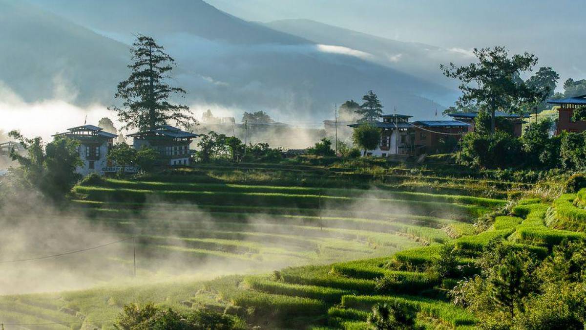 Nebel im Punakha-Tal | © Kai-Uwe Kuechler / Chamäleon Nebel im Punakha-Tal | © Kai-Uwe Kuechler / Chamäleon