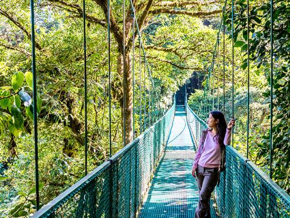 Regenwald Costa Rica |  iStockphoto / Simon