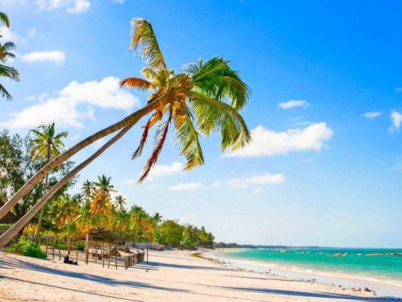 Traumstrand bei Sansibar |  Michel de Nijs, iStockphoto.com / Chamleon