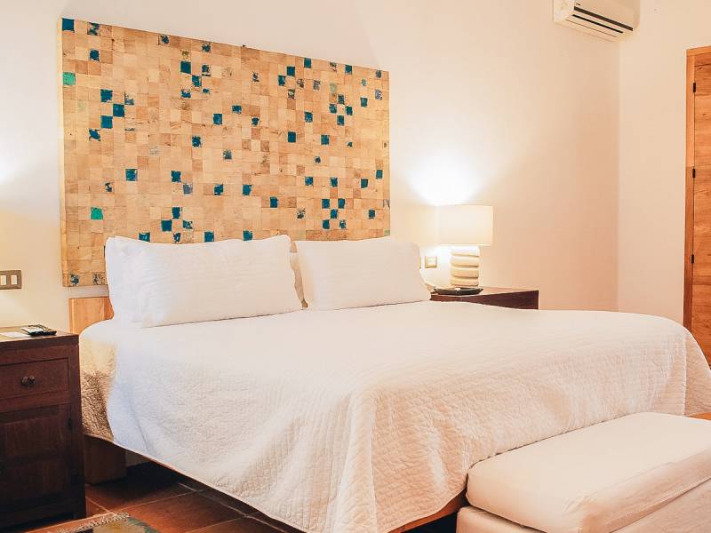 Casareyna |  Casareyna / Chamleon