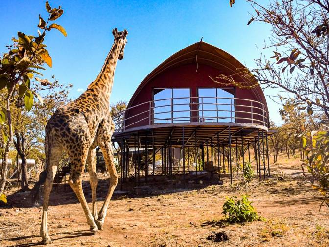 Ngorongoro Safari Lodge