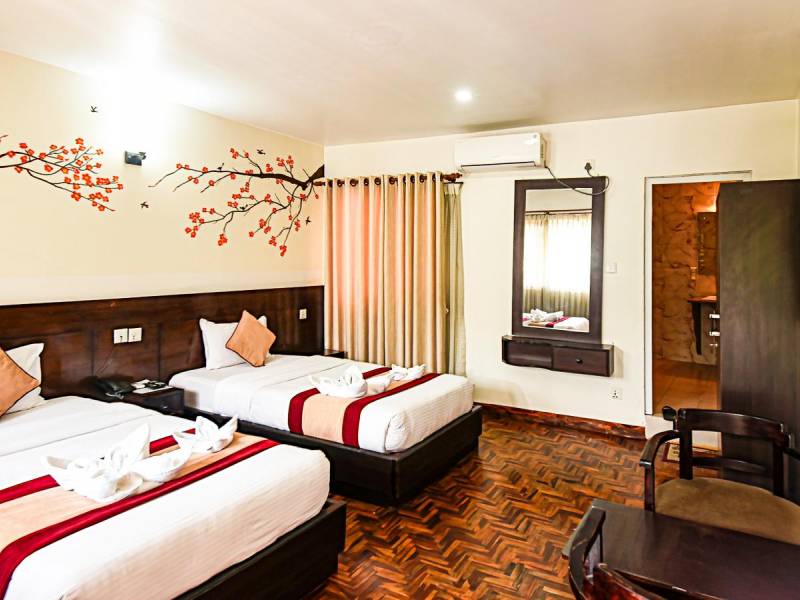 Hotel Thamel Park |  Hotel Thamel Park / Chamleon